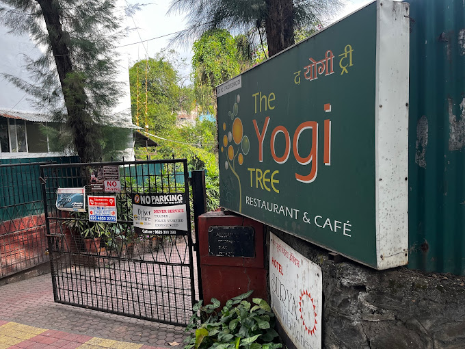 Yogi Tree best vegan restaurant in Pune
