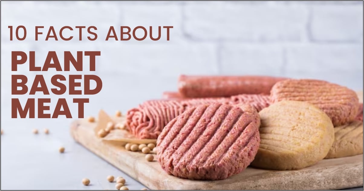 10 Facts About Plant Based Meat