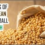 Benefits of soya beans for overall health