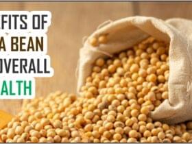 Benefits of soya beans for overall health