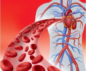 Promote blood circulation while eating of soya bean