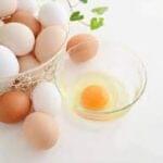 egg is veg or non veg